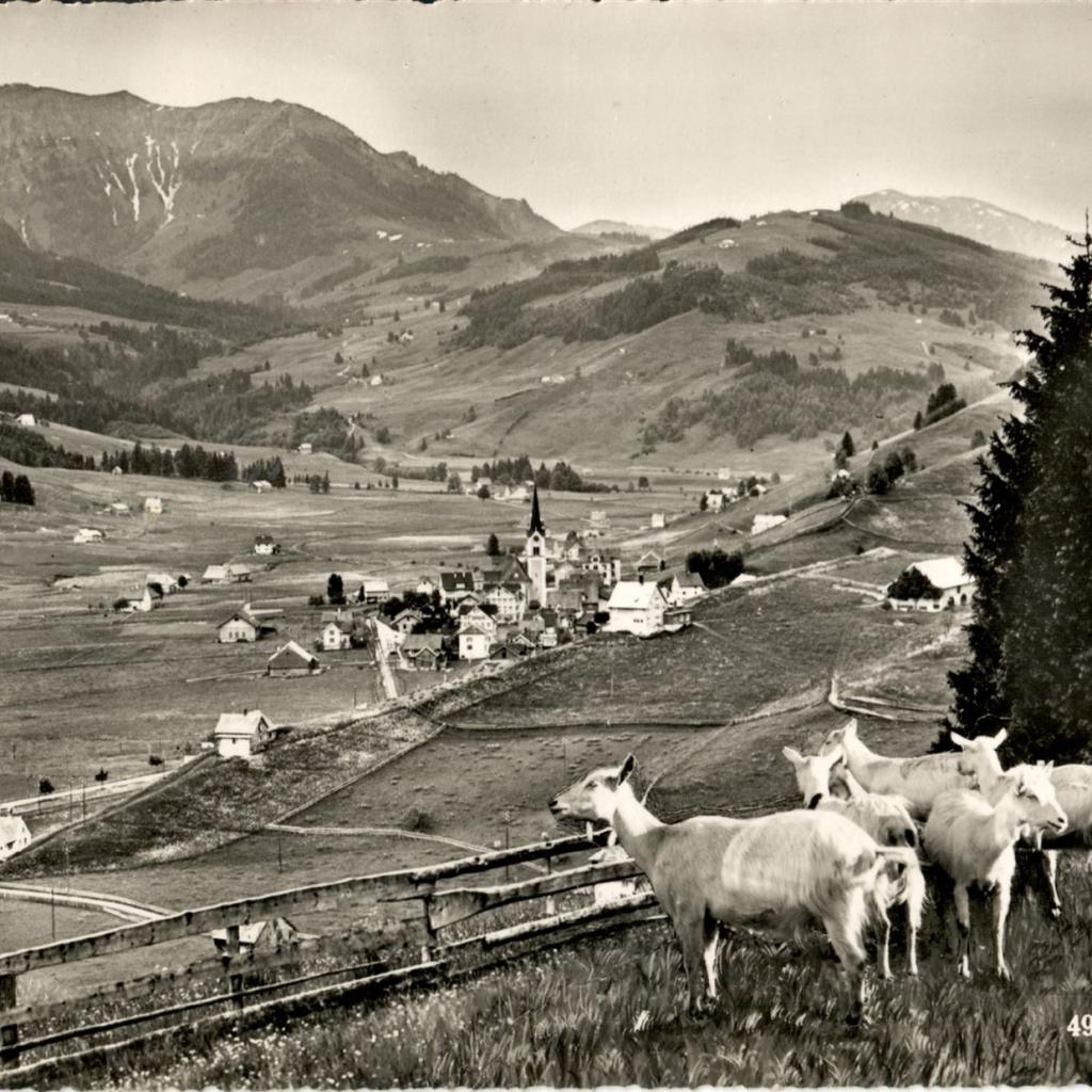 Foto_2024-05-09_131044